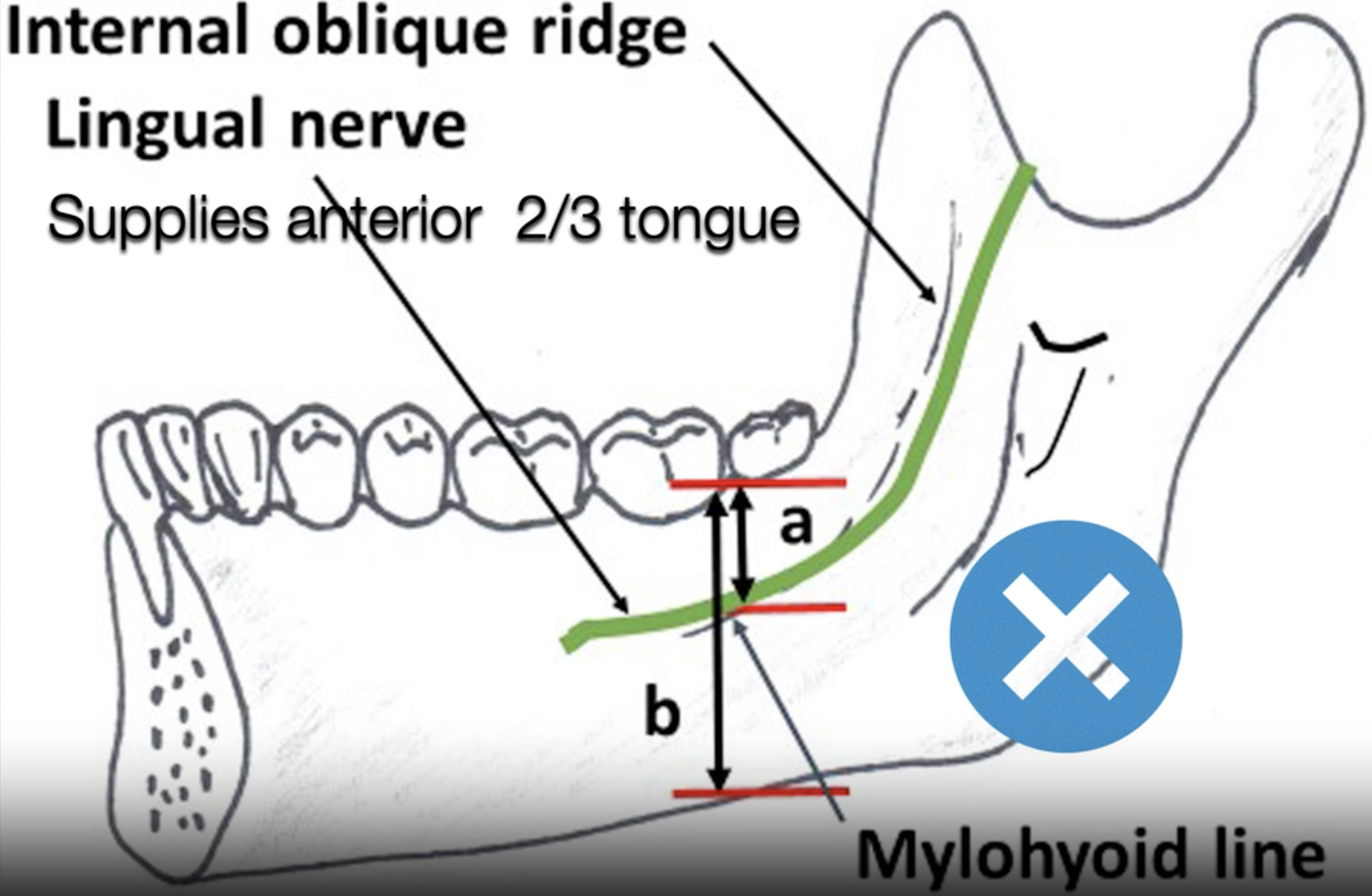 Screenshot 2023-08-10 at 11.02.37.png