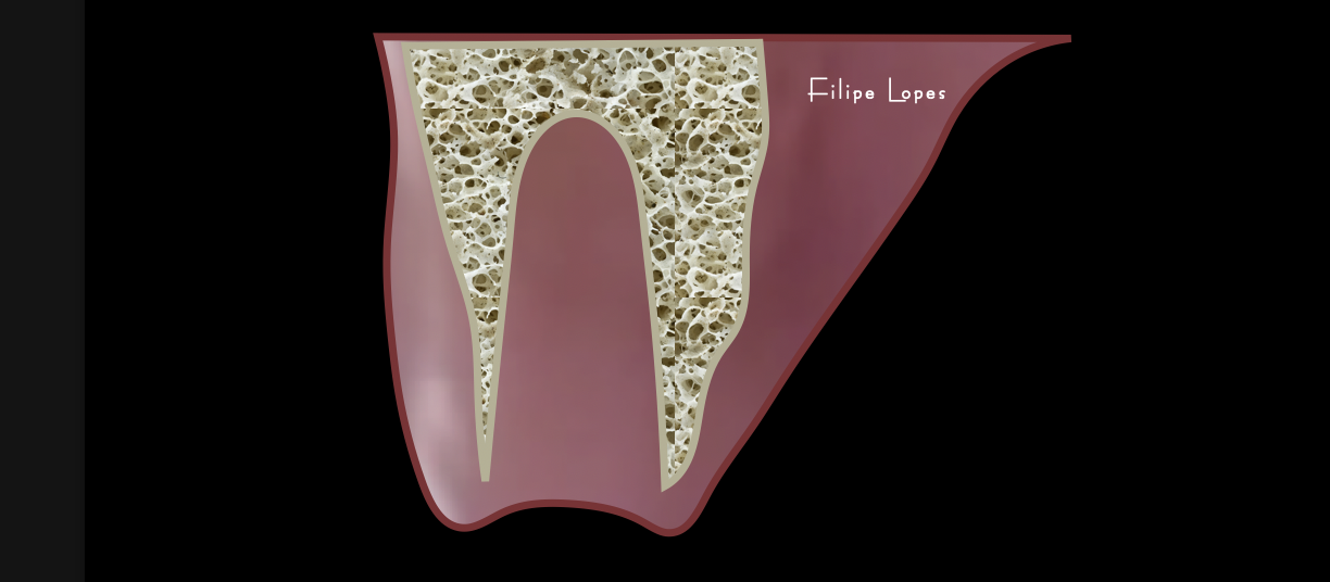 cover 2 socket healing.png