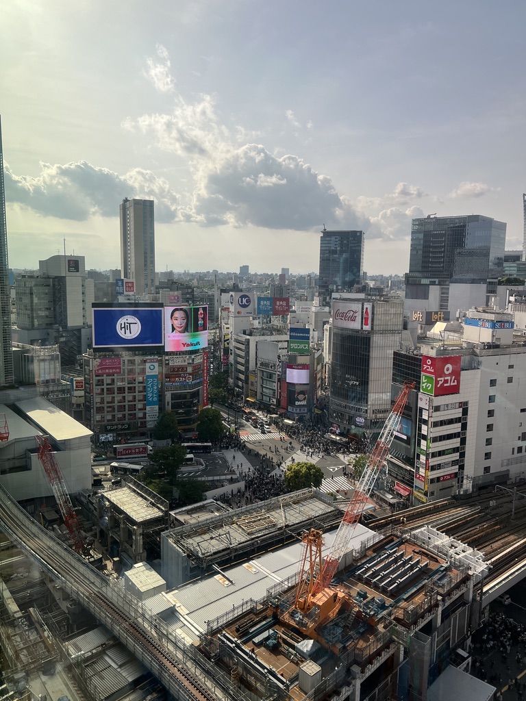 B8255FDE-826E-4639-9D3B-DE302B792FF7_1_105_c.jpeg