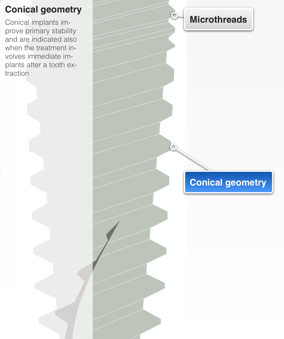 implant design geometry.png