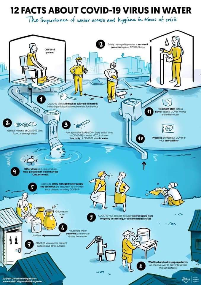 12 Factos Sobre o Coronavirus na Água.jpeg