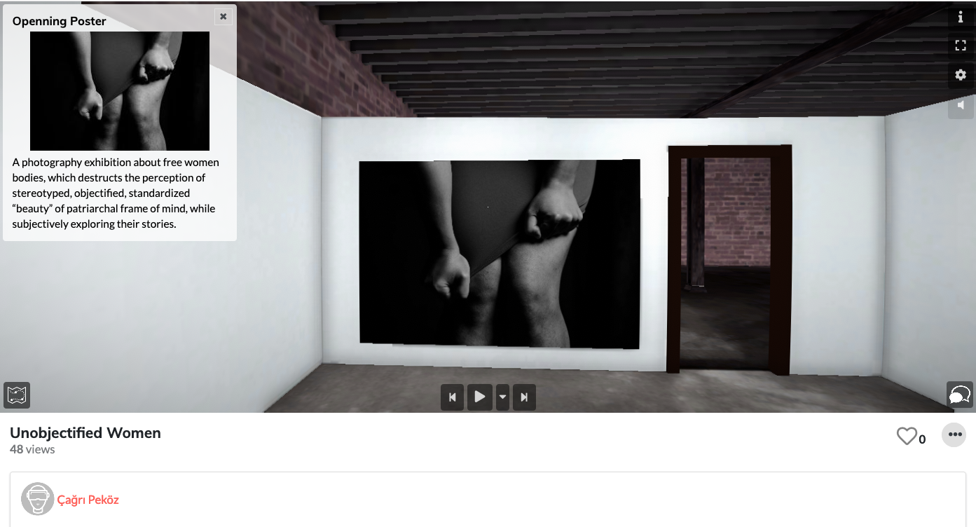 Unobjectified Women_Fotor.png