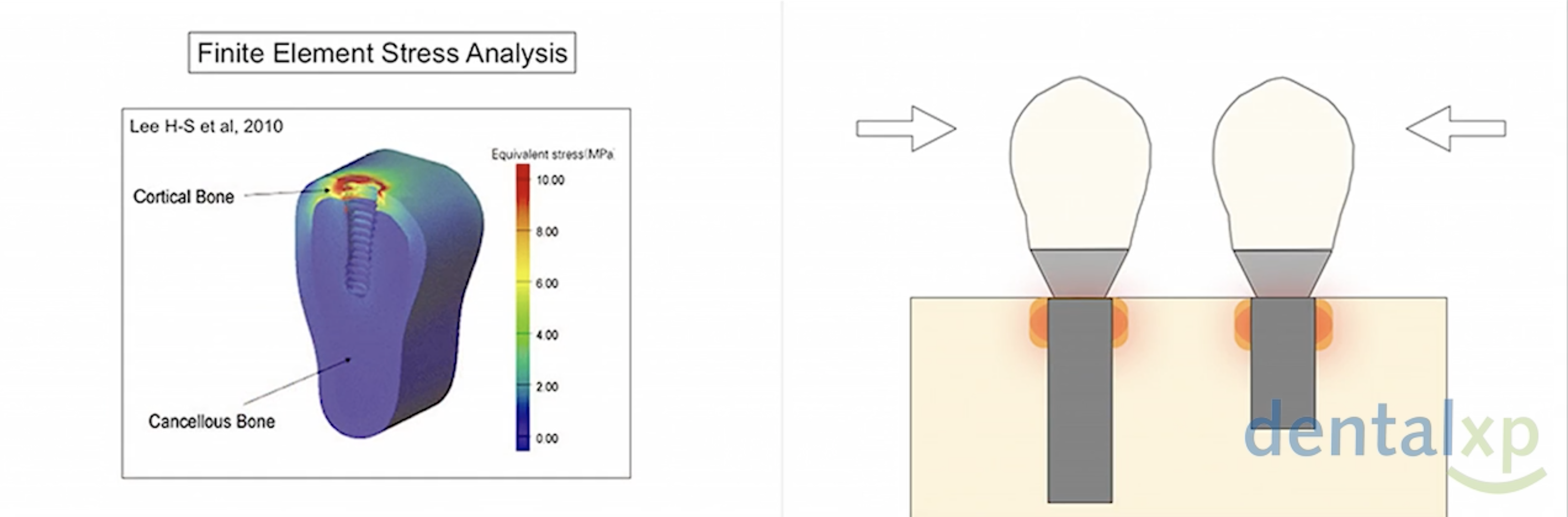 Screen Shot 2021-06-30 at 08.48.41.png
