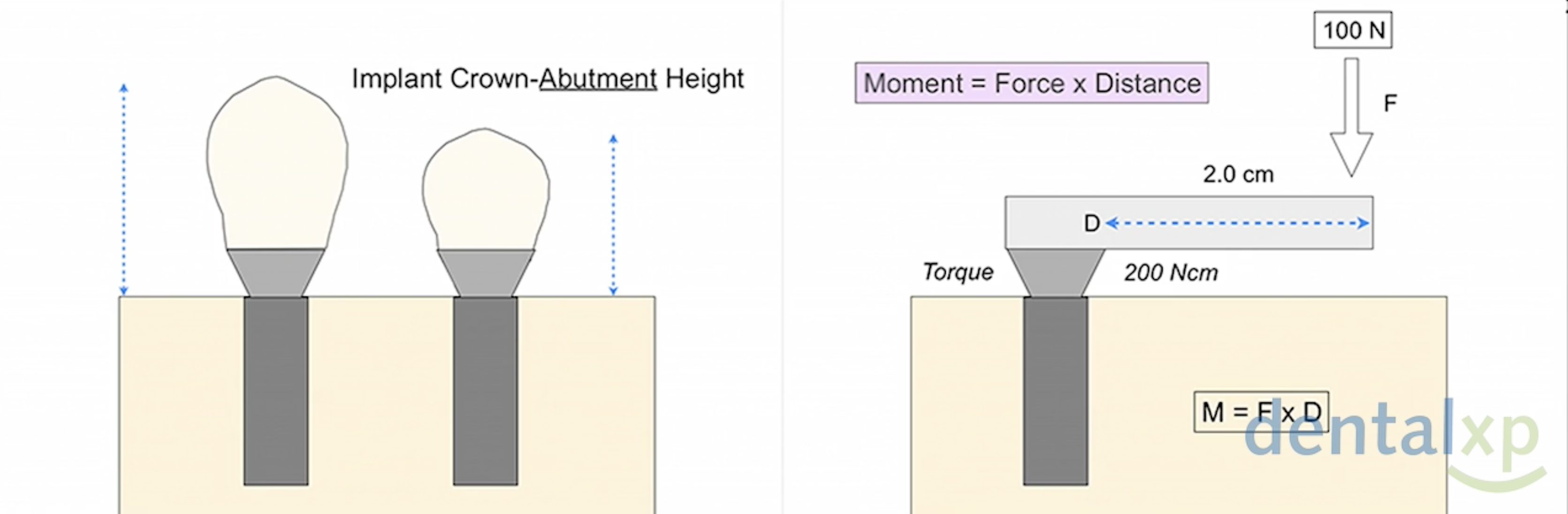 Screen Shot 2021-06-30 at 08.52.09.png