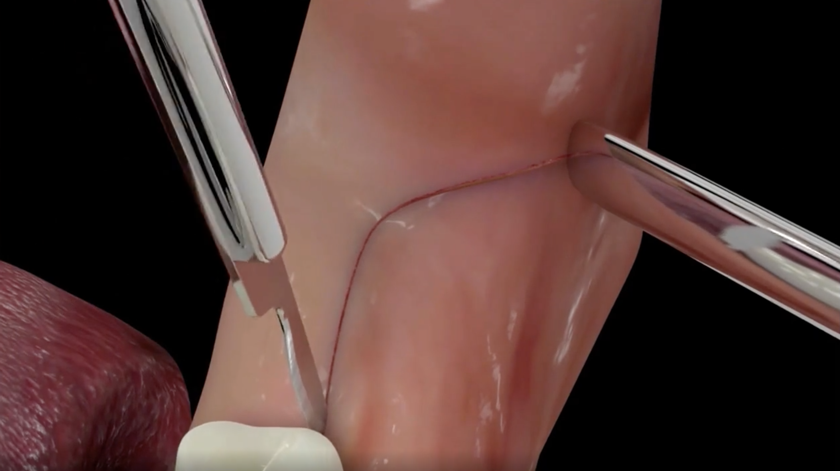 Screen Shot 2021-09-25 at 10.13.30.png