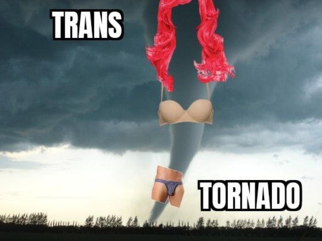 Imagens disparates.jpeg