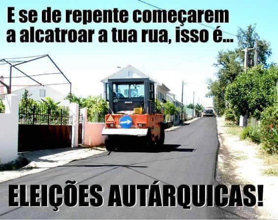tanga politica.jpeg