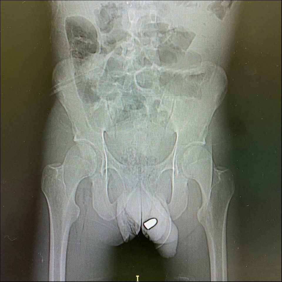 PHOTO-2020-08-05-07-16-33 2.jpg