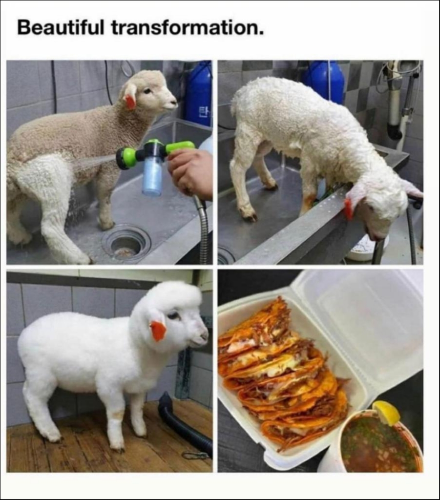 PHOTO-2020-09-12-19-26-39 2.jpg