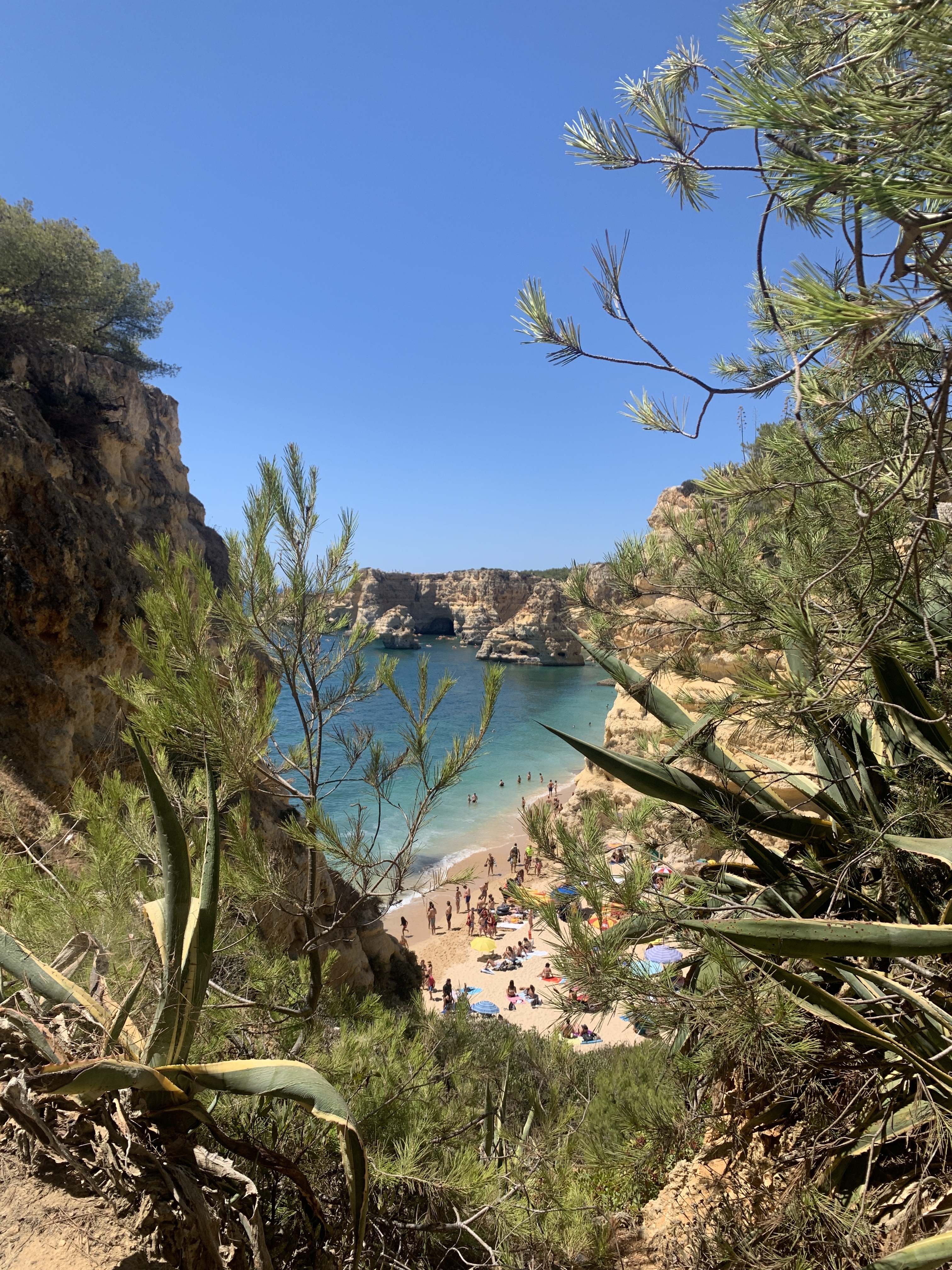 ParadiseBeach0.JPG