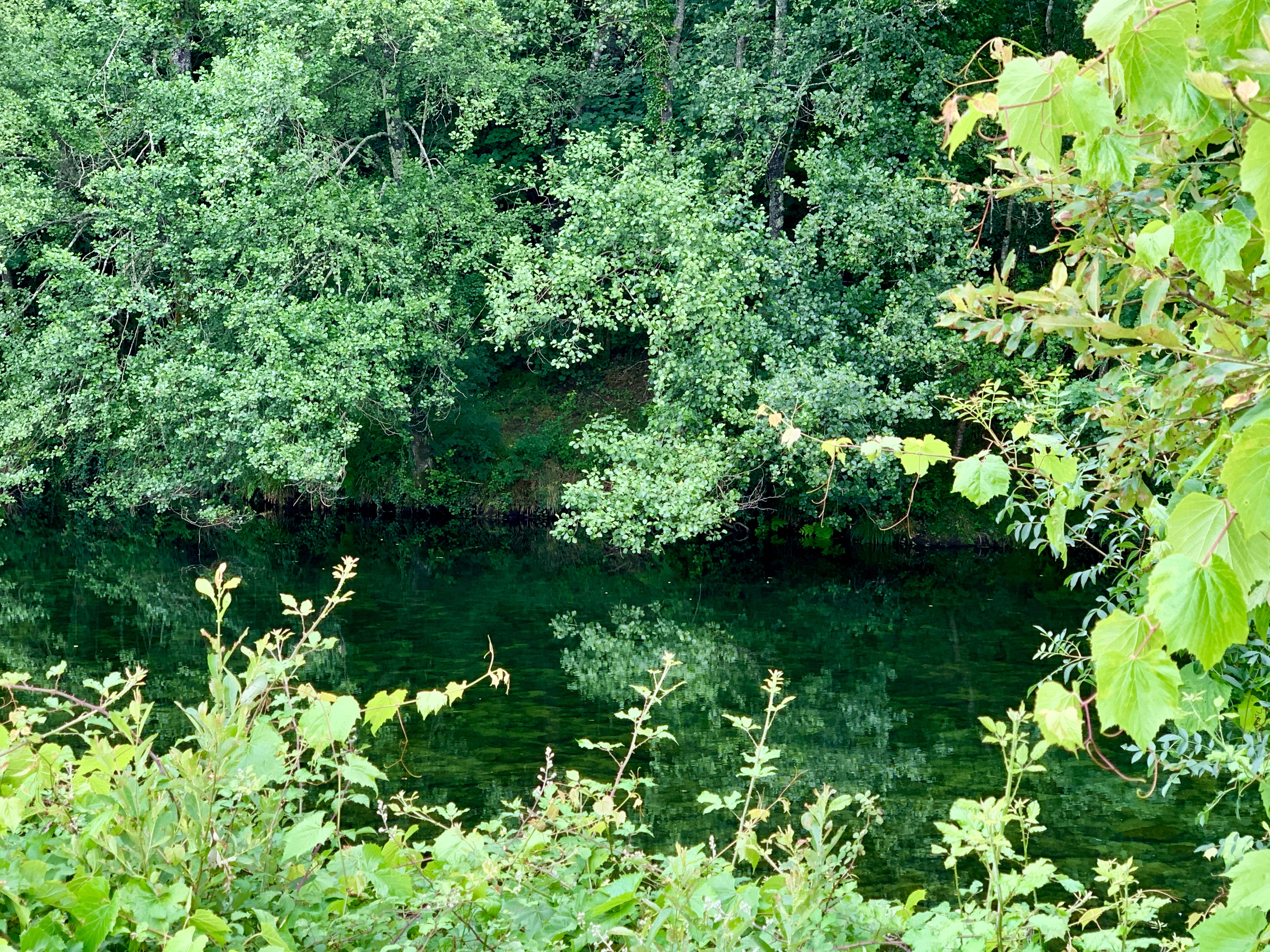 IMG_2308.jpeg
