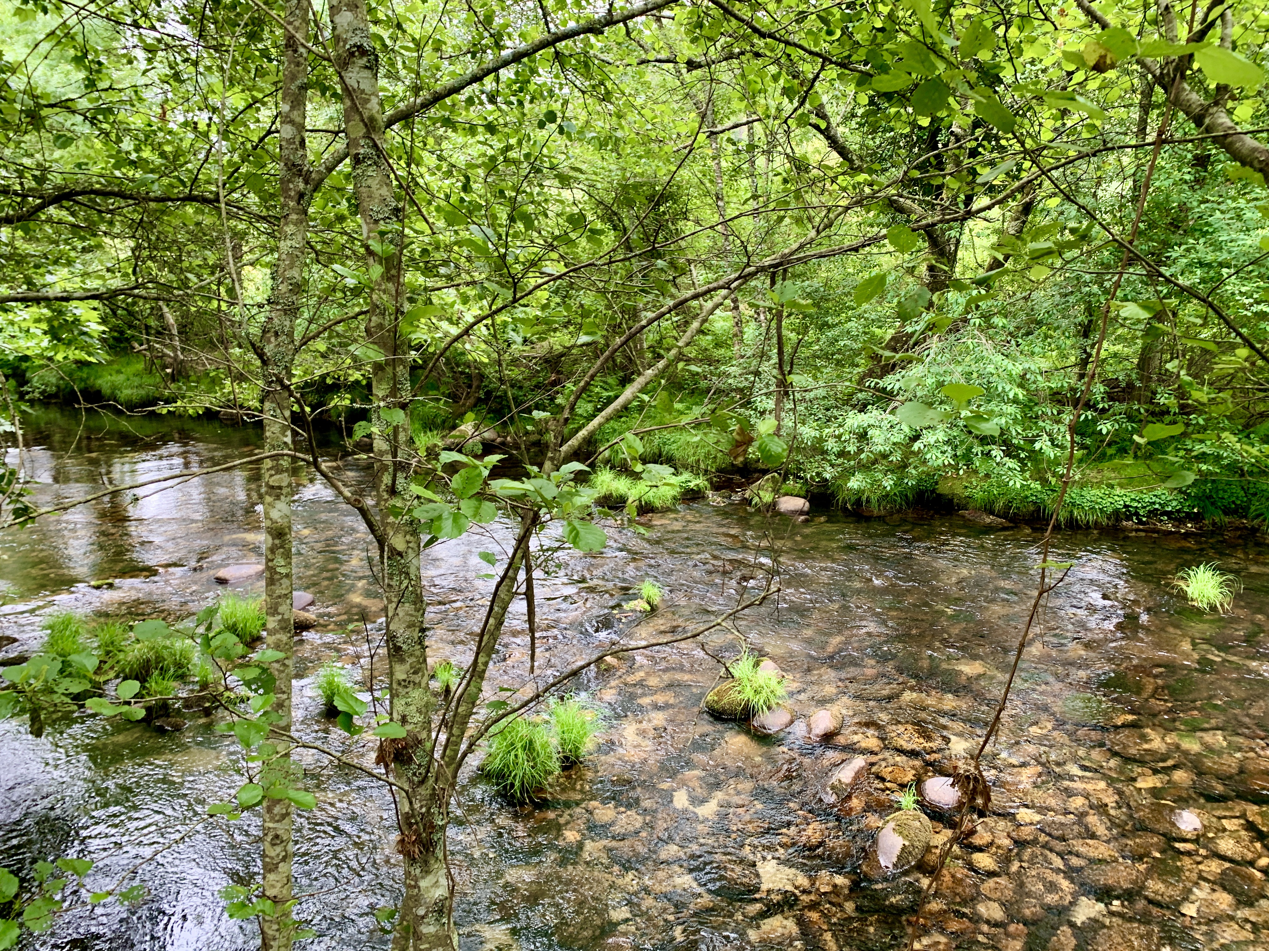 IMG_2380.jpeg