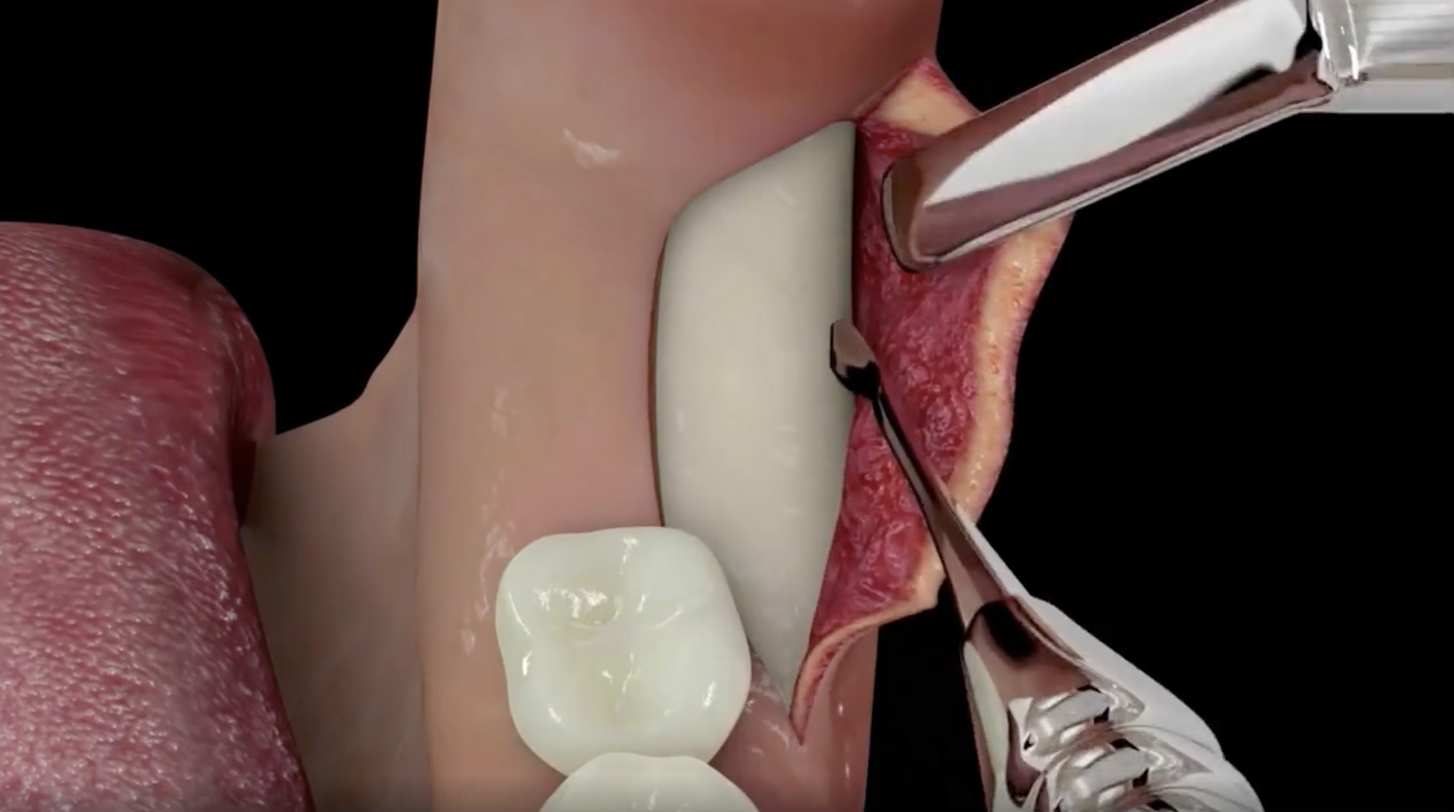 Screen Shot 2021-09-25 at 10.14.57.png