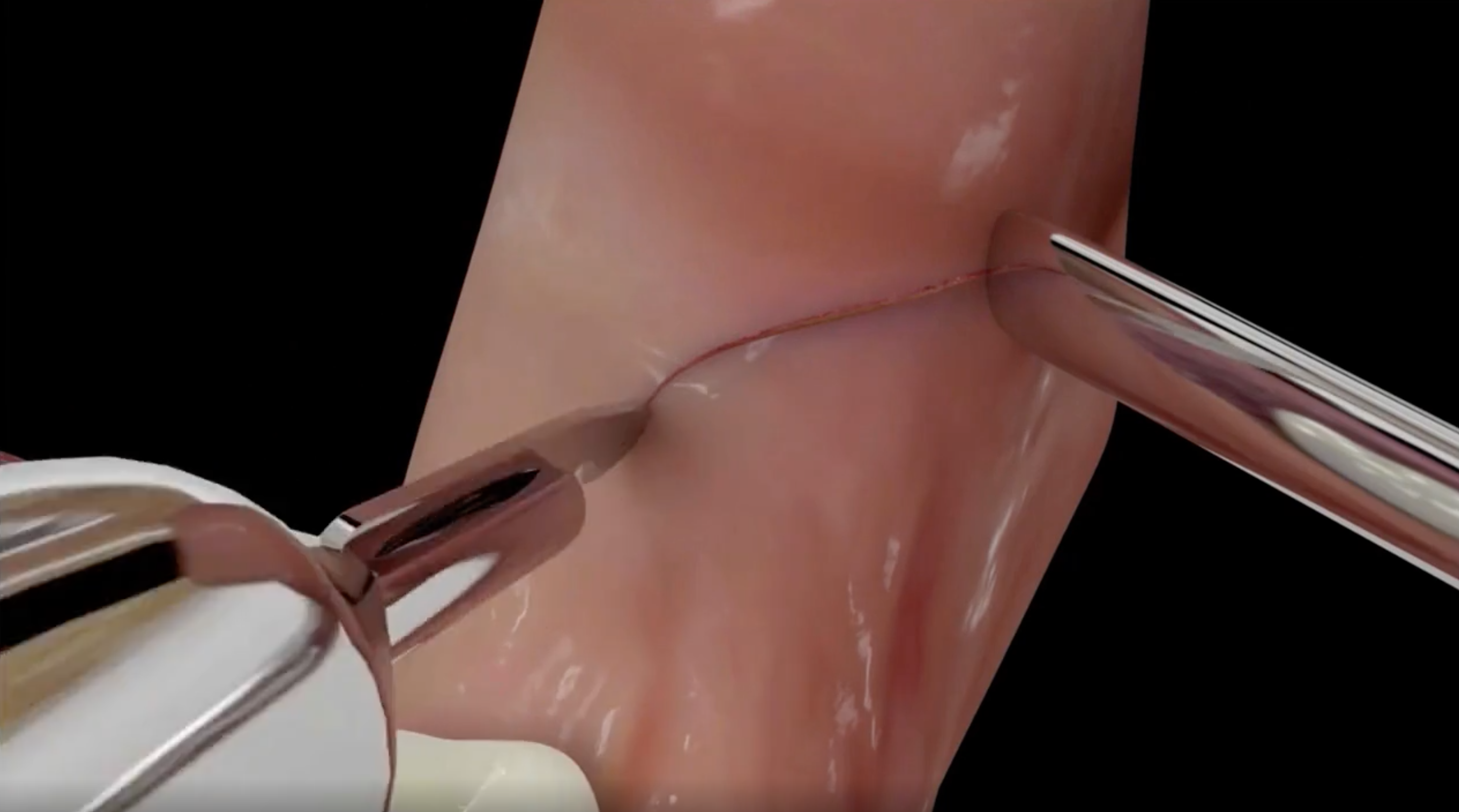 Screen Shot 2021-09-25 at 10.13.13.png