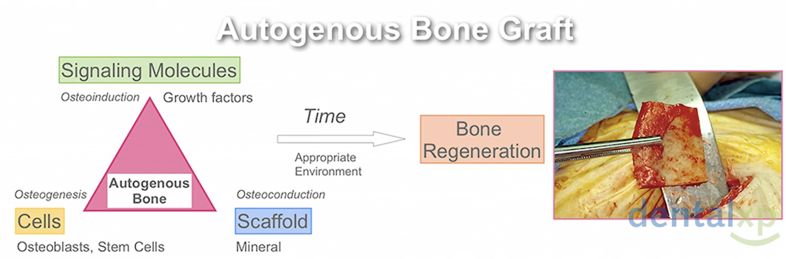 Screen Shot 2021-06-30 at 00.38.22.png