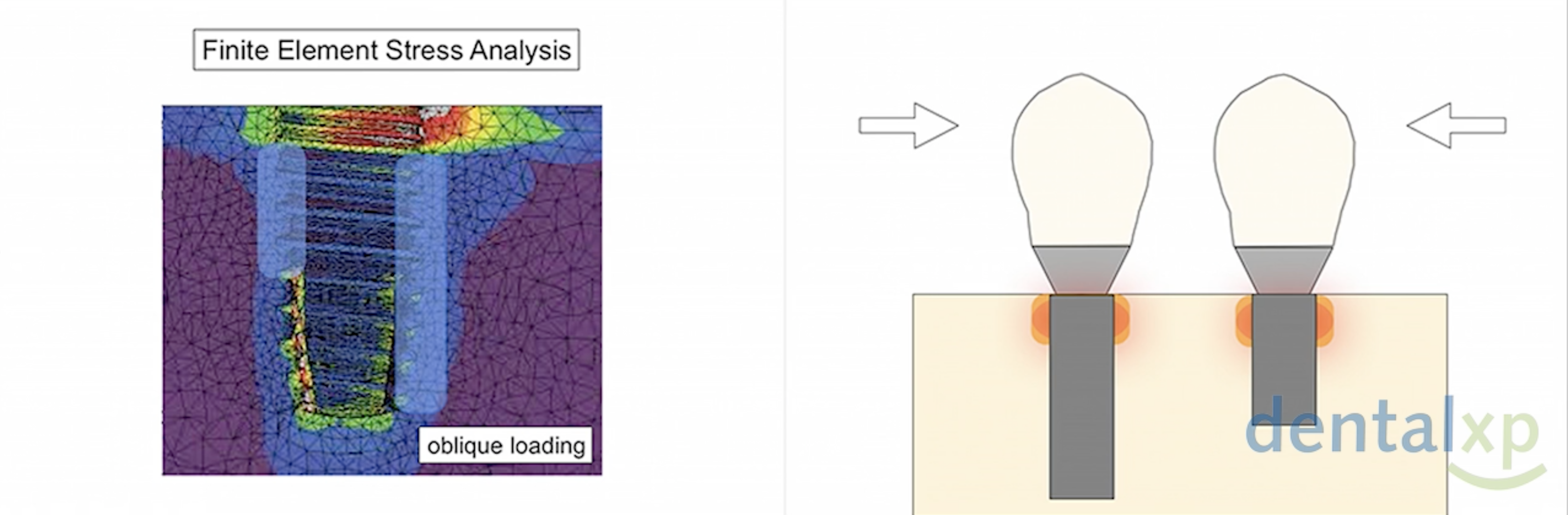 Screen Shot 2021-06-30 at 08.50.30.png