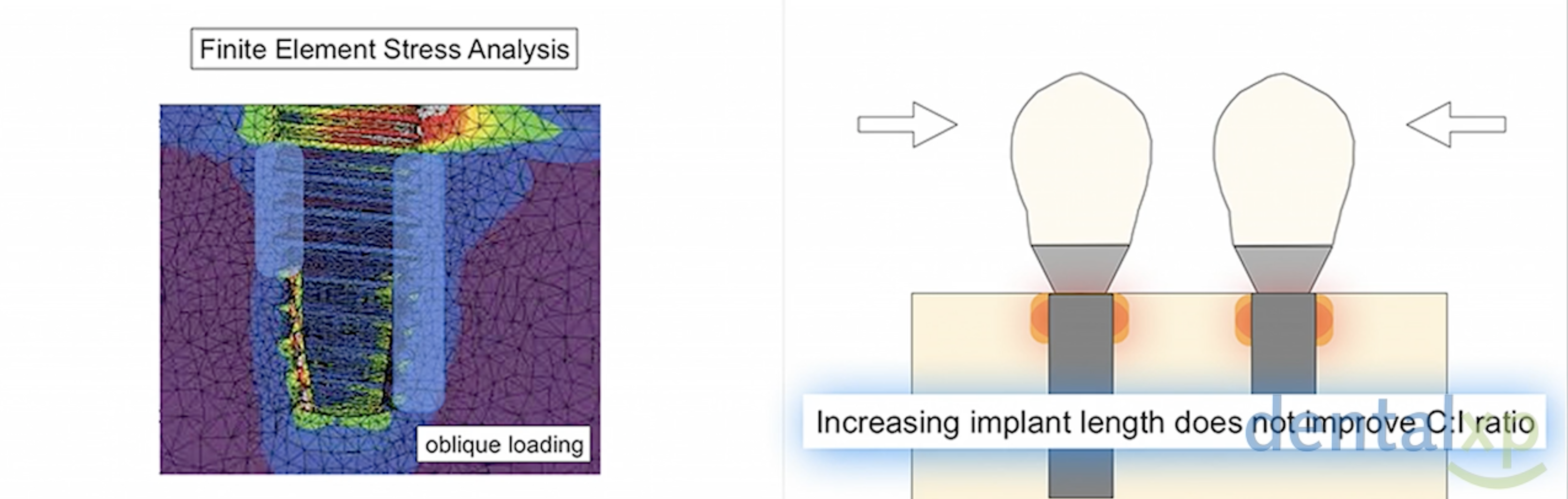 Screen Shot 2021-06-30 at 08.51.55.png