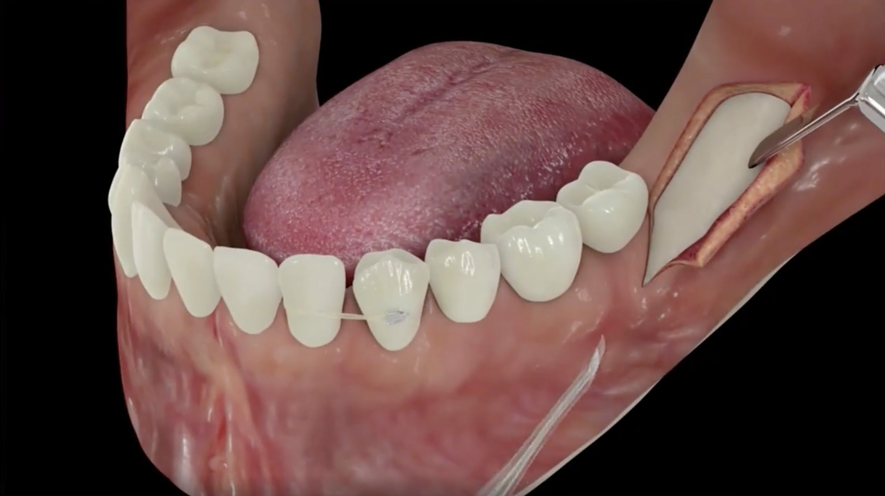 Screen Shot 2021-09-25 at 10.15.12.png