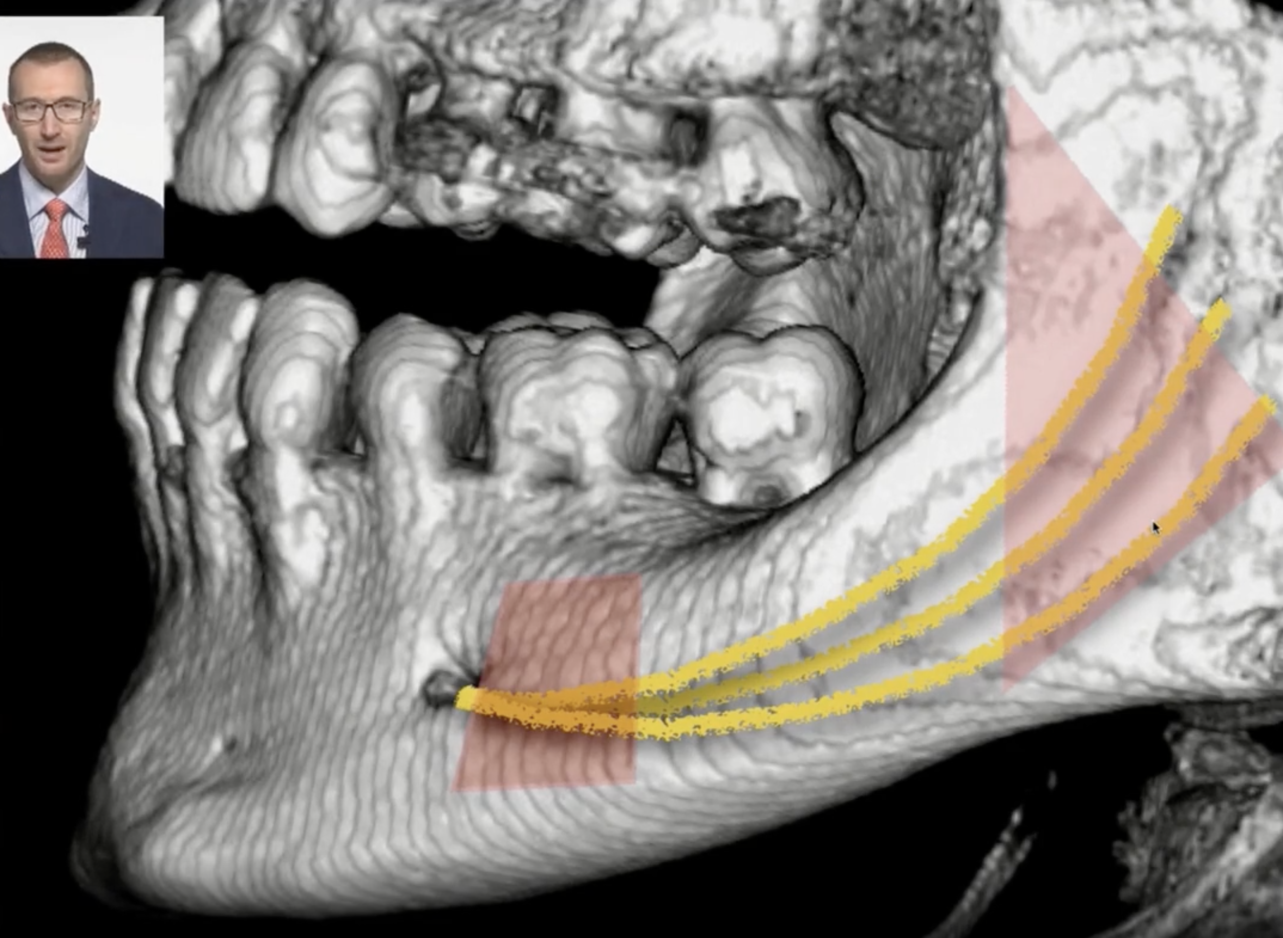 Screen Shot 2021-09-25 at 09.08.29.png