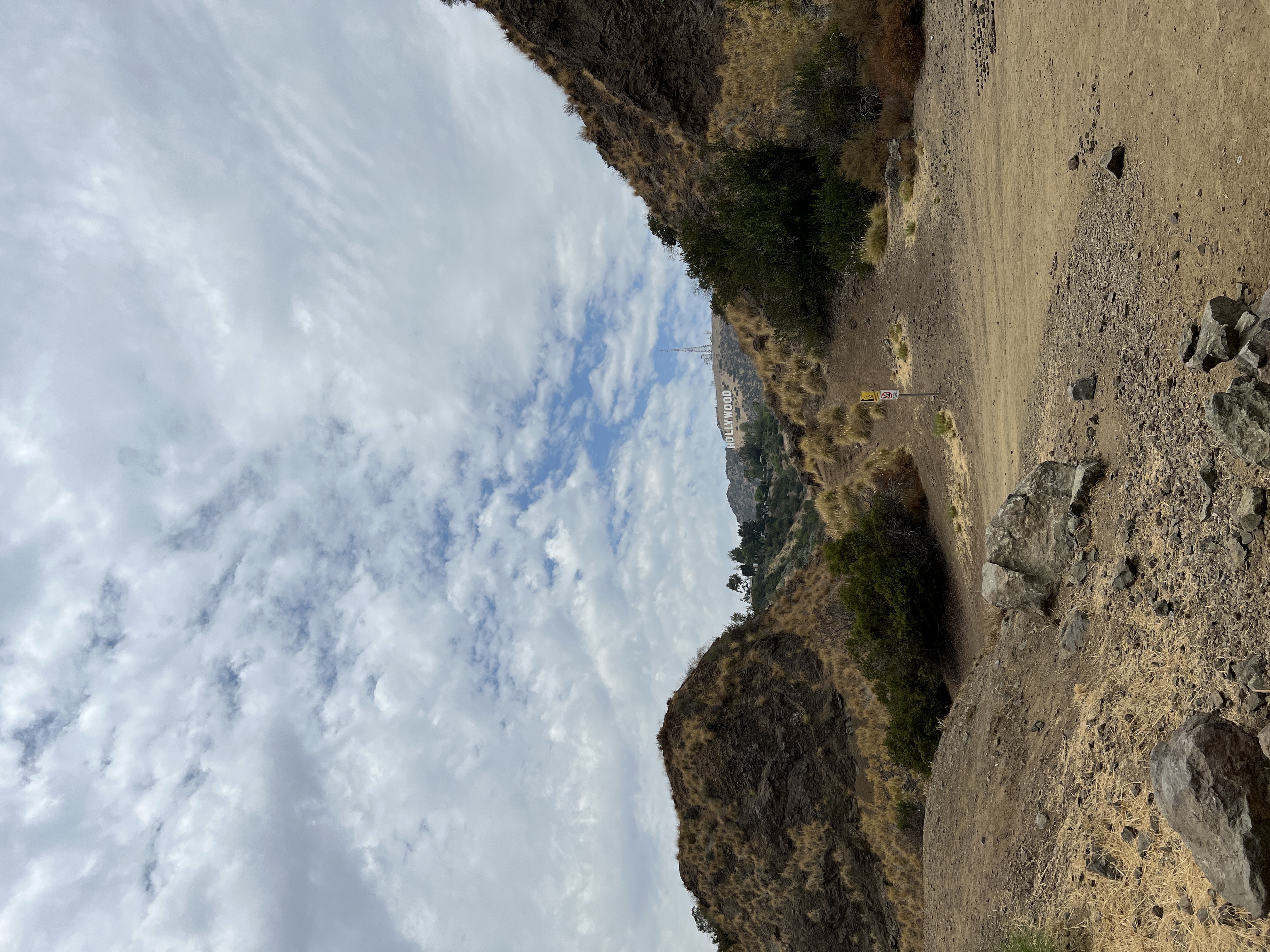 010B4395-1398-41F5-AE03-811EC393101C.jpeg