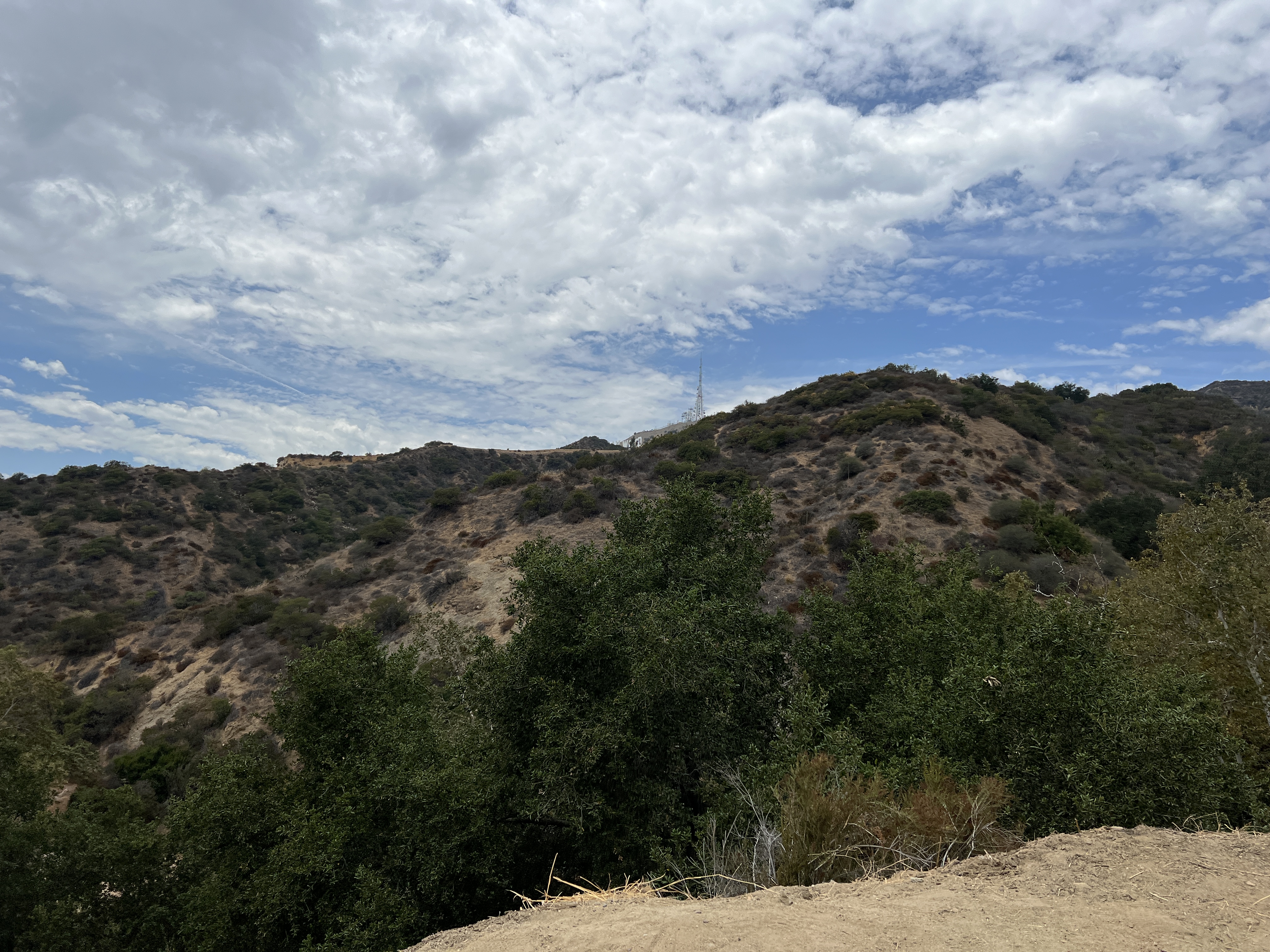 E575293B-0C14-47EA-B7AD-C5E0635EBE99.jpeg