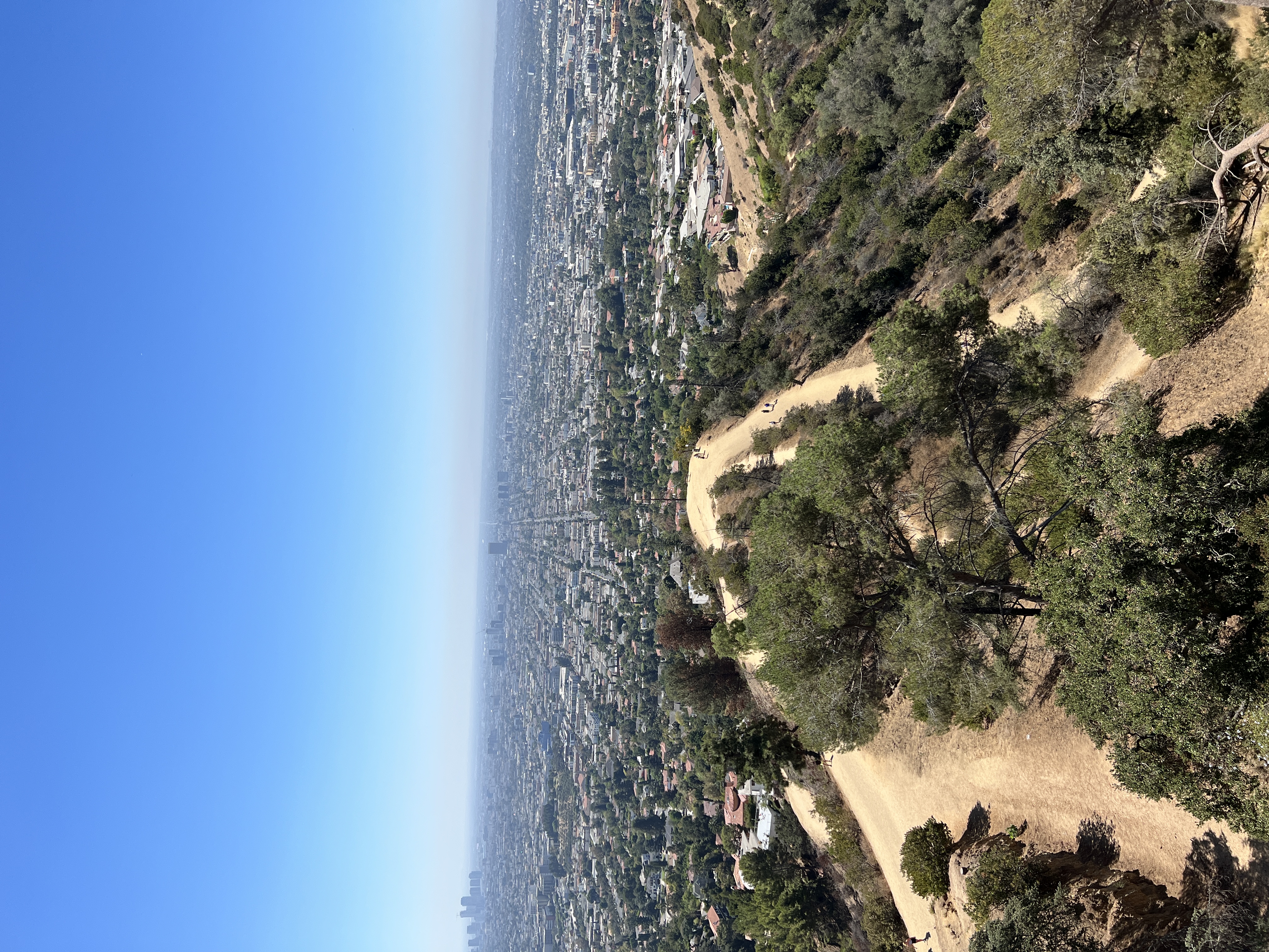 B994BCEE-3F2A-47E7-95B1-6BAB68F91AC3.jpeg