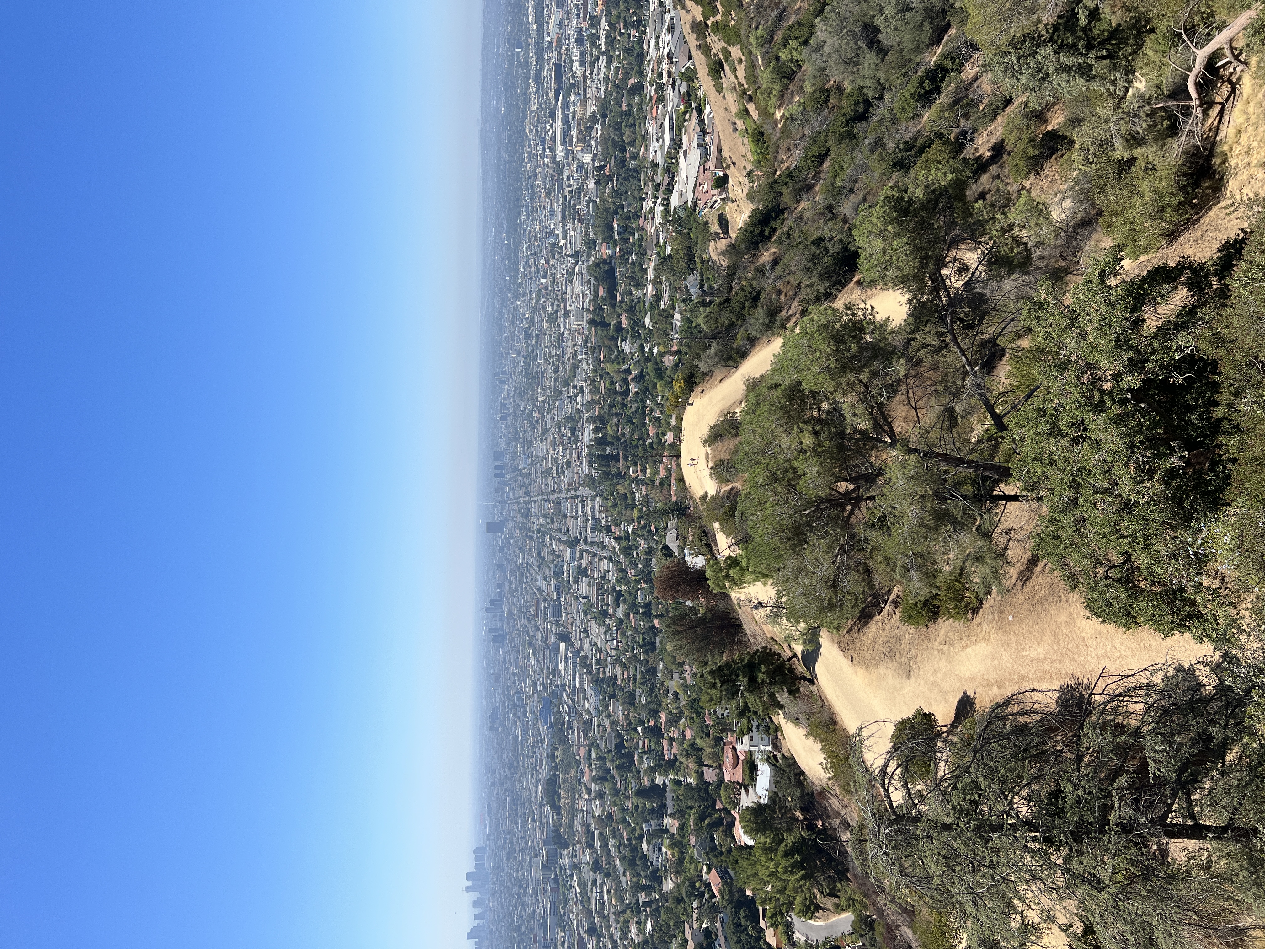 057E8EDD-1986-49AF-9F22-577B8AD5E797.jpeg