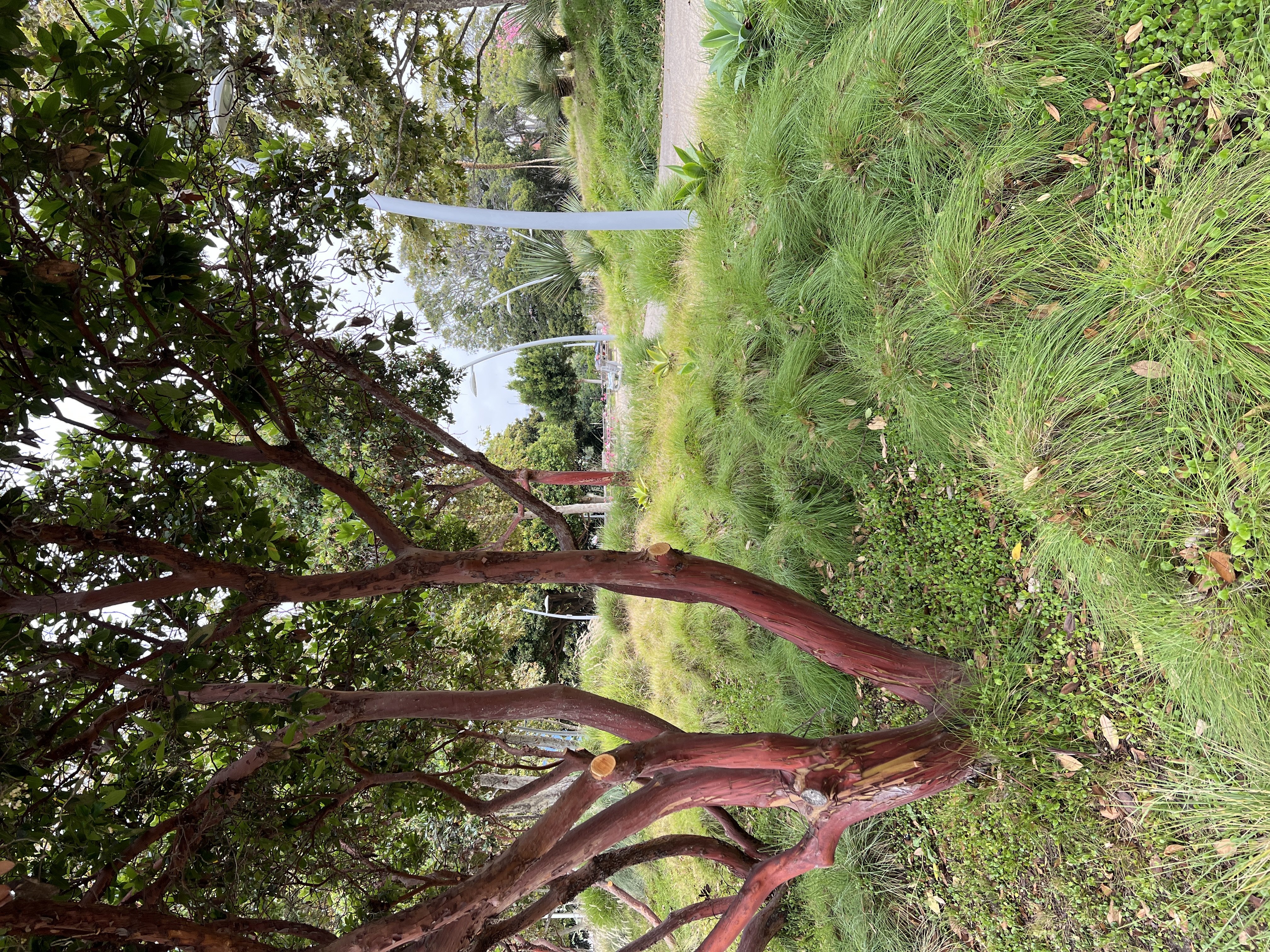 32250361-F479-4F00-9206-E97162B30232.jpeg
