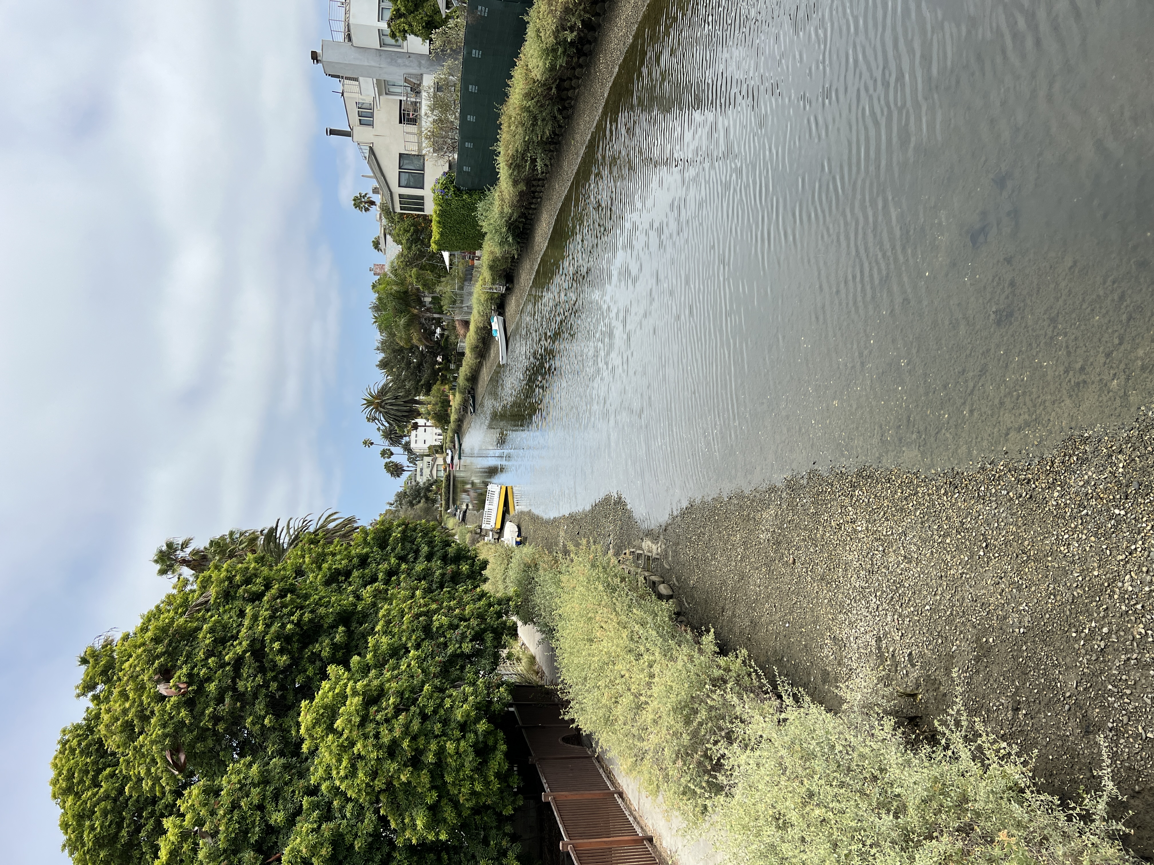 CAAD8F5B-7A60-4CA6-92DA-B37110CF8538.jpeg