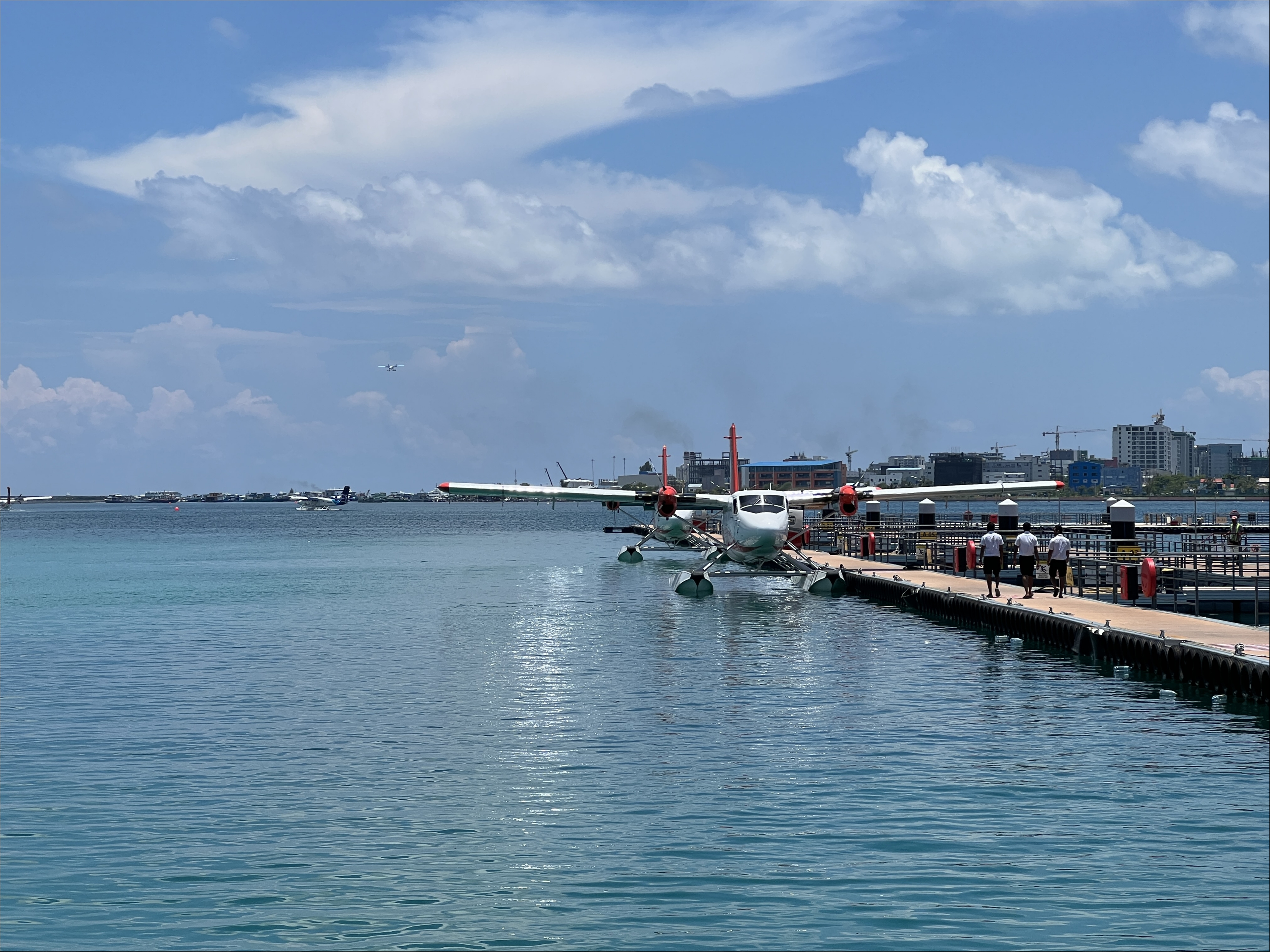 IMG_4635.JPG