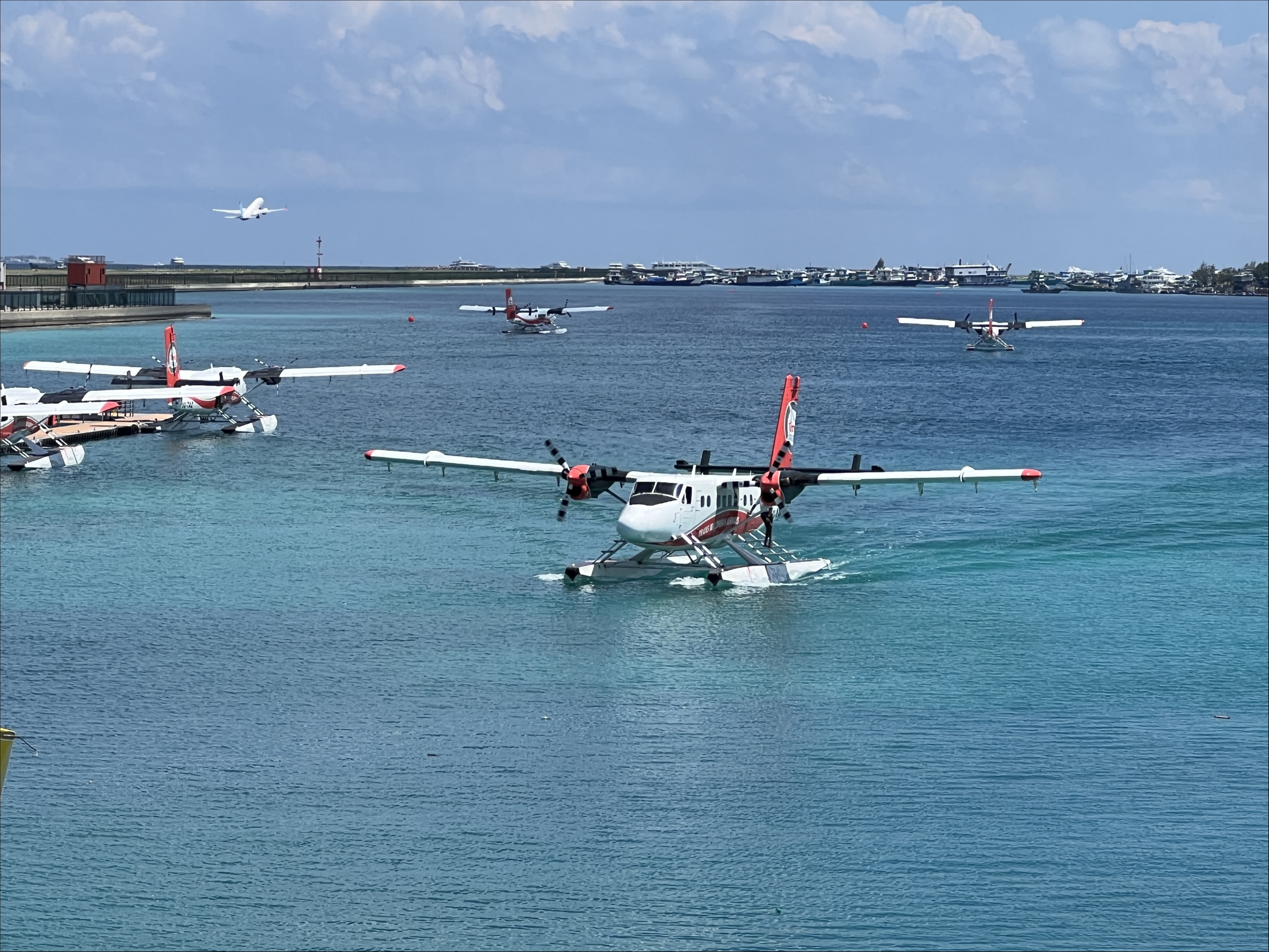 IMG_4631.JPG