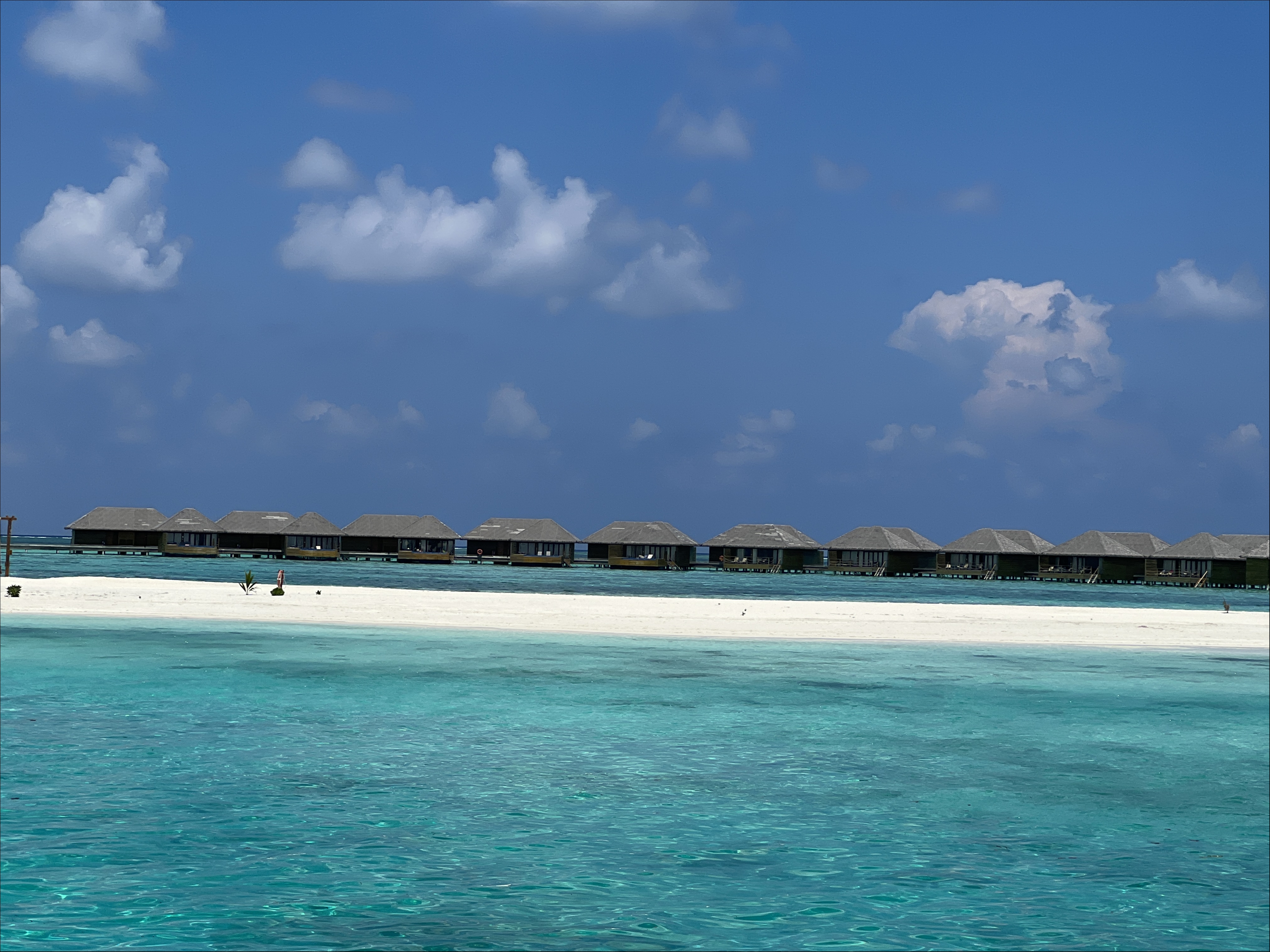 IMG_4738.JPG