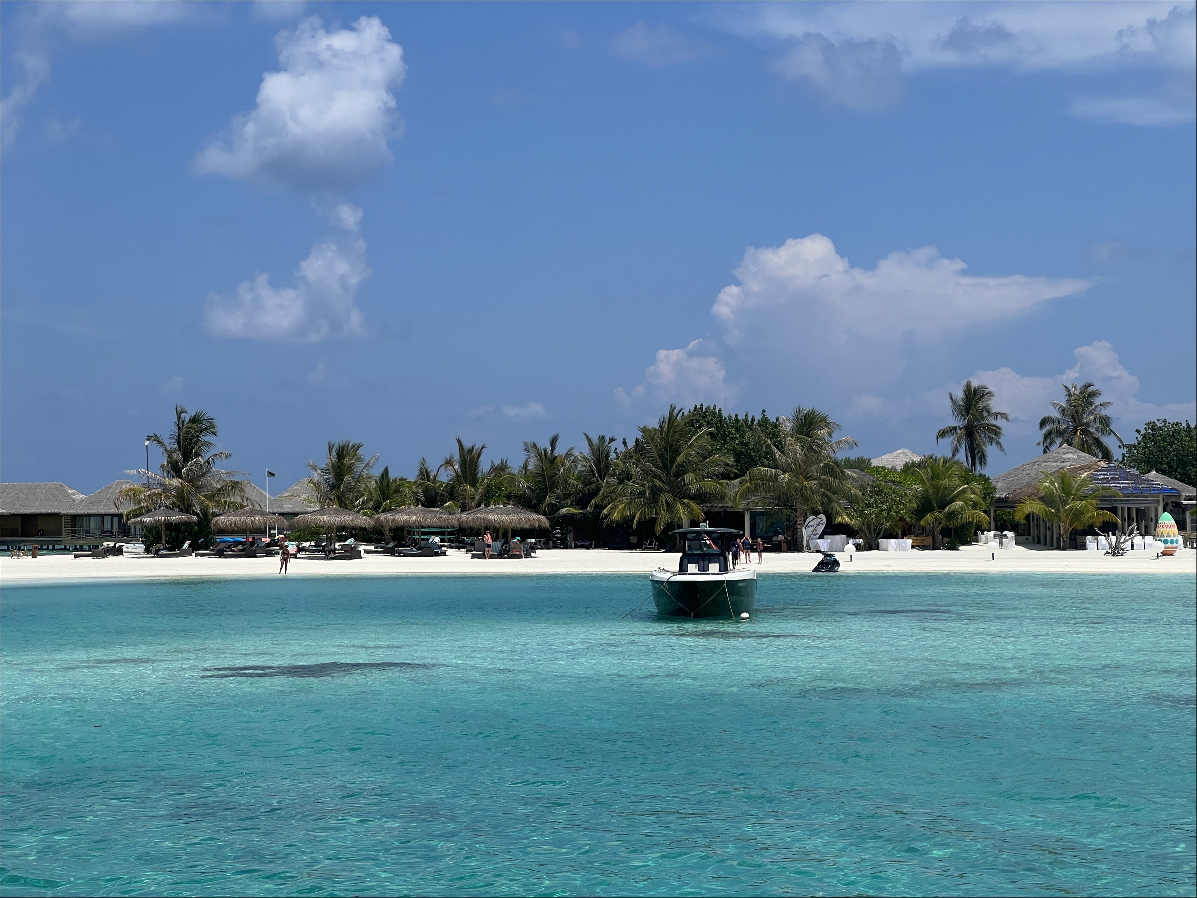 IMG_4739.JPG
