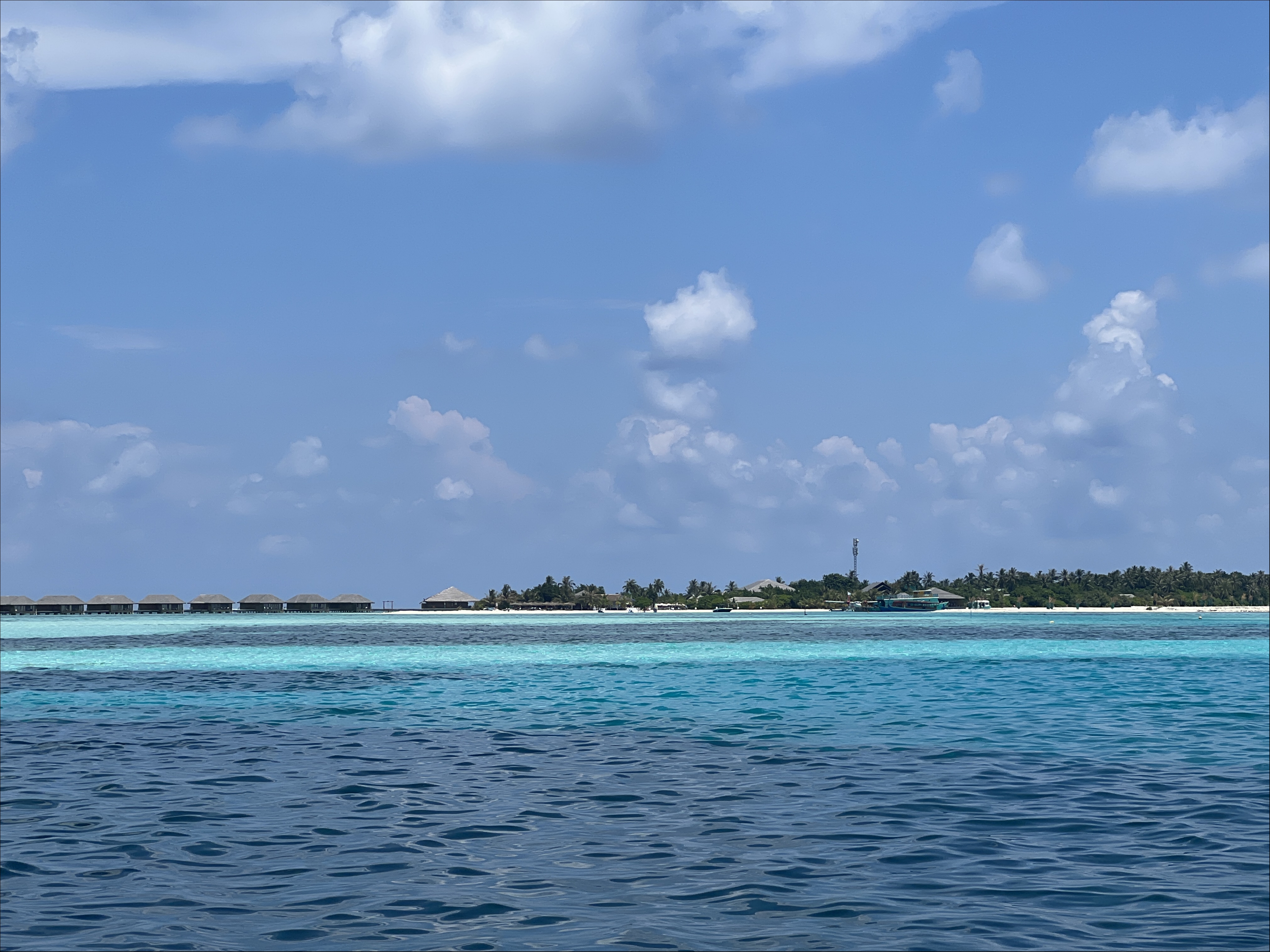 IMG_4715.JPG