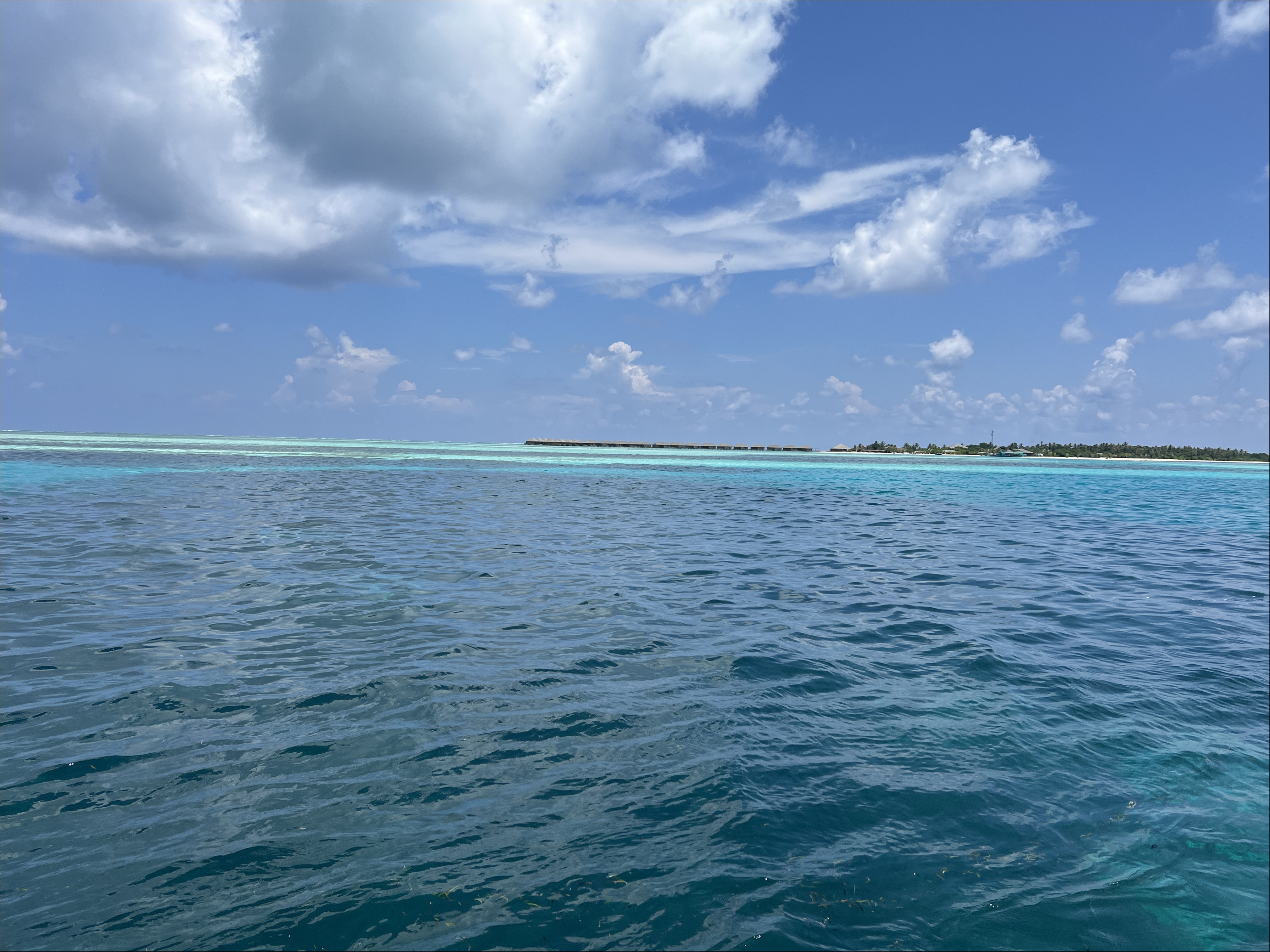 IMG_4716.JPG
