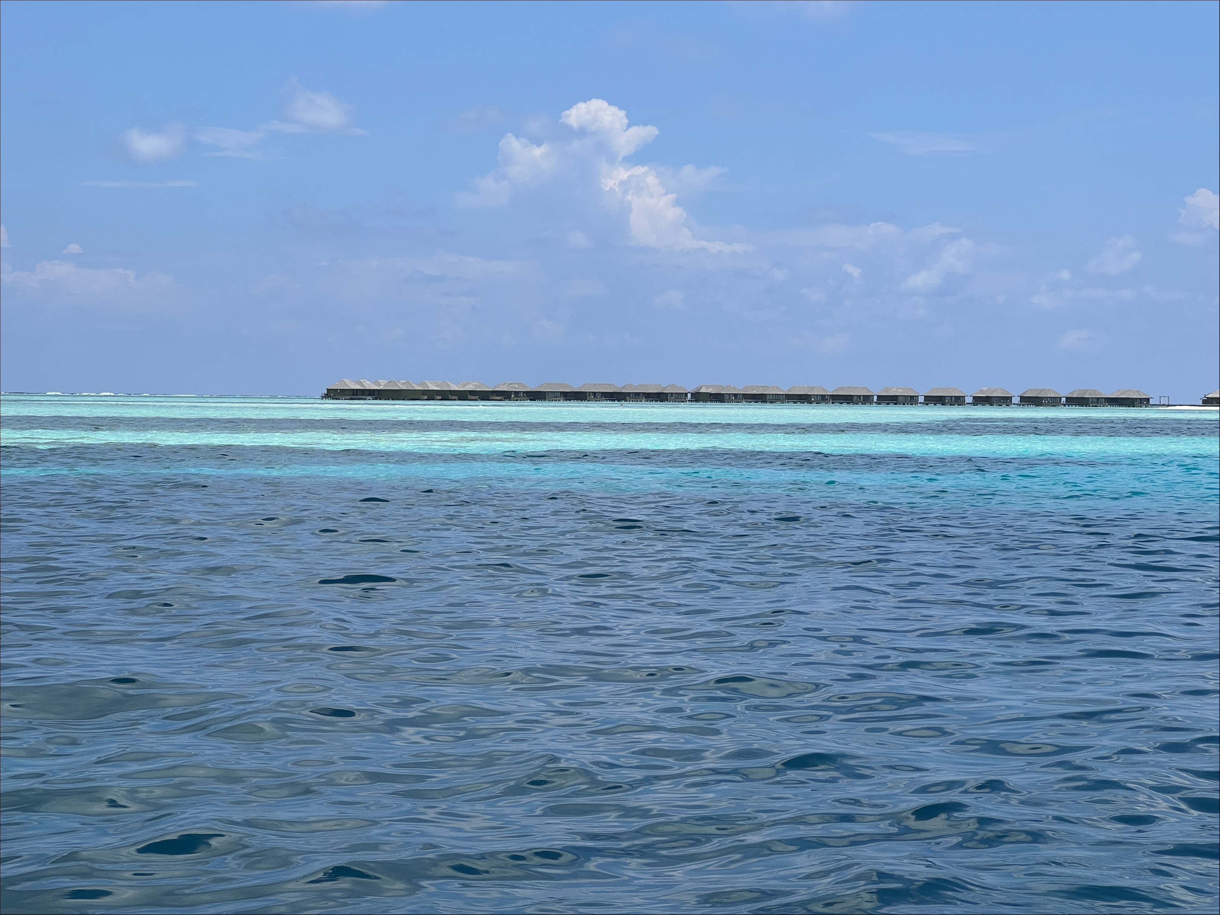 IMG_4718.JPG