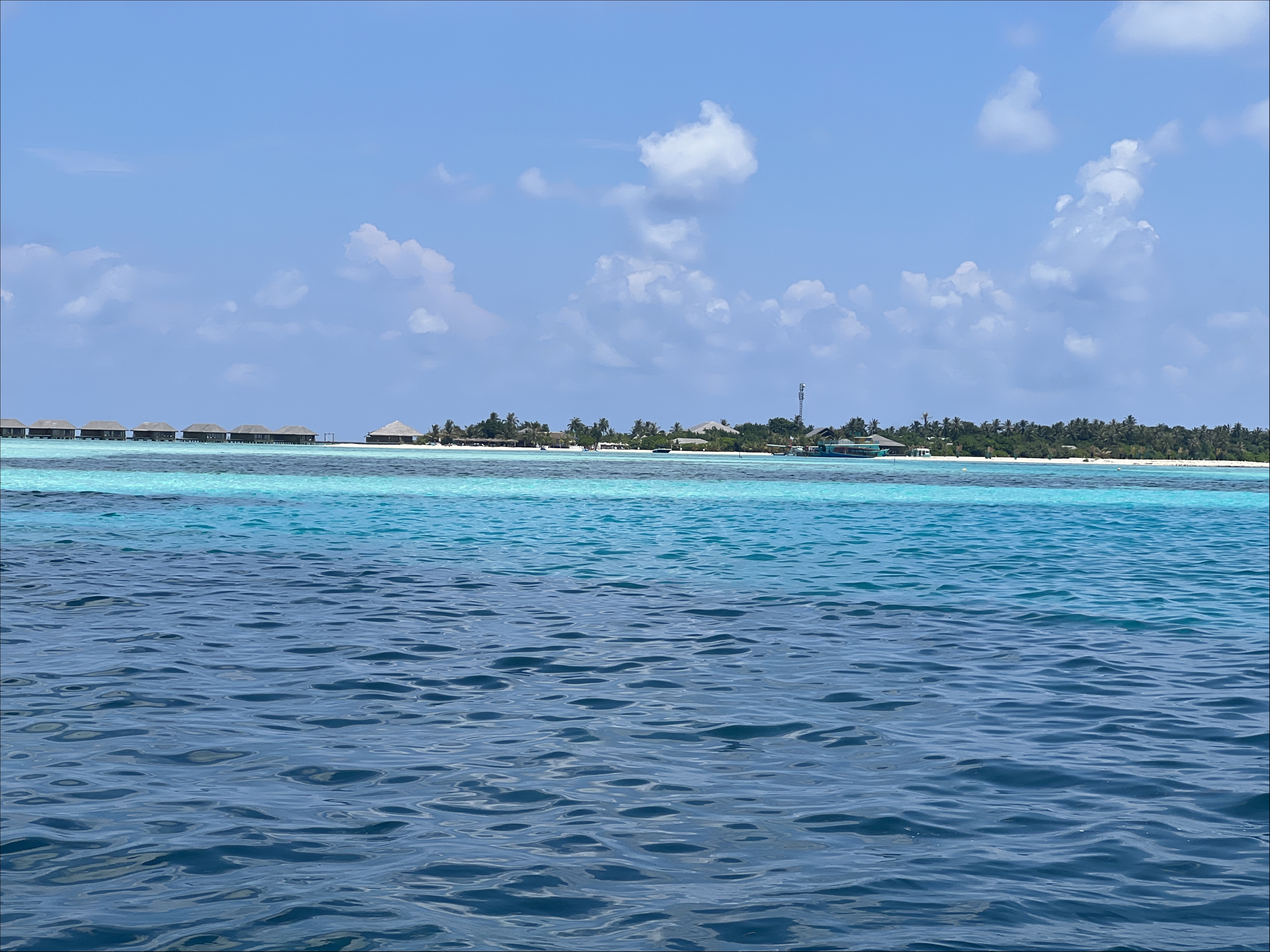 IMG_4719.JPG