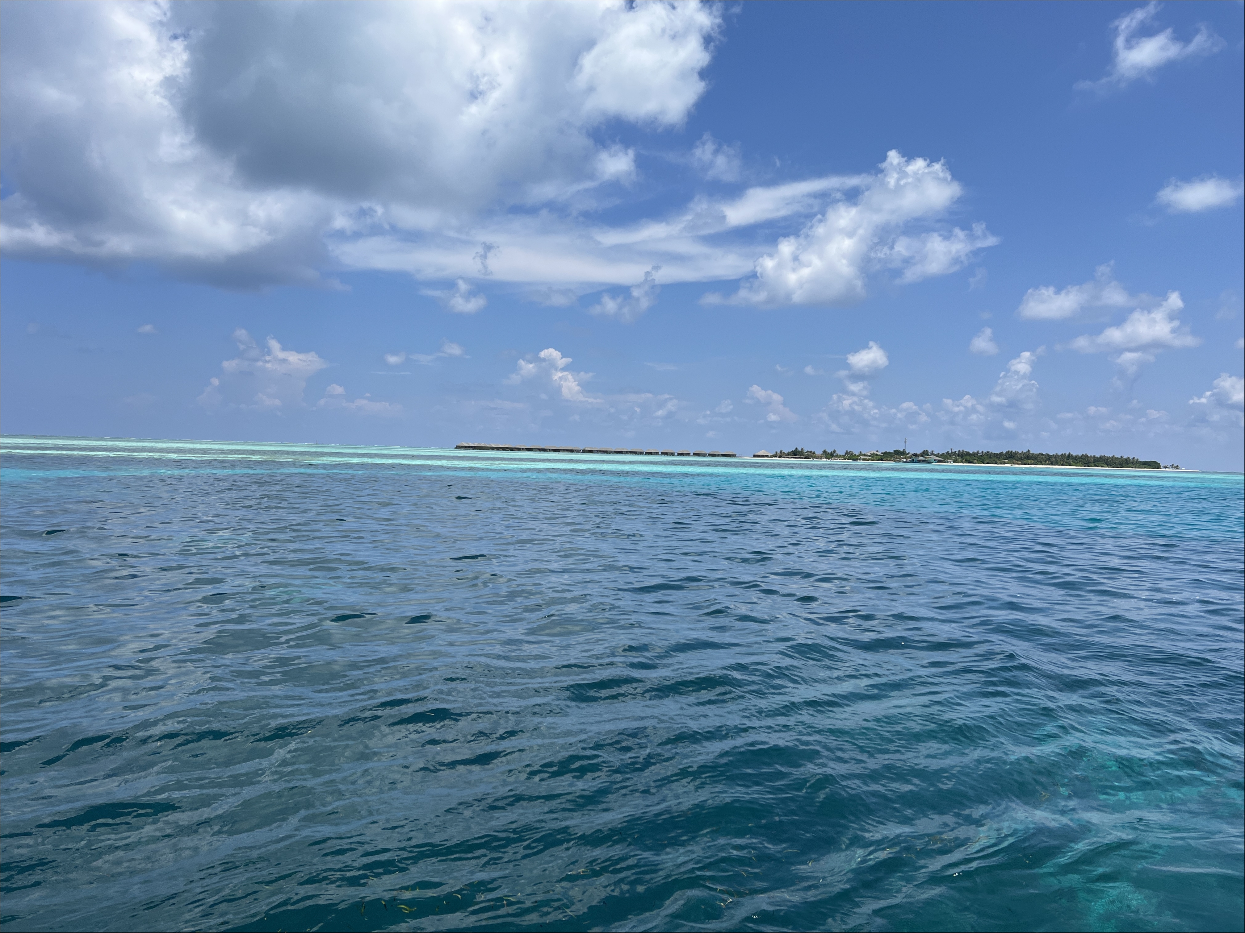 IMG_4717.JPG